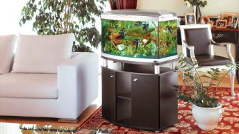 Интериорният  аквариум – I част